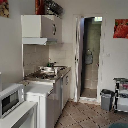 טולוז Chambre Meublee Independante, Avec Piscine Et Jardin, 1 Lit Pour 2 Personnes Direct Gare Aeroport מראה חיצוני תמונה