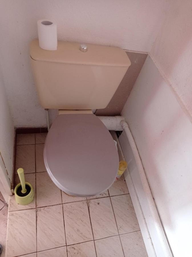 טולוז Chambre Meublee Independante, Avec Piscine Et Jardin, 1 Lit Pour 2 Personnes Direct Gare Aeroport מראה חיצוני תמונה